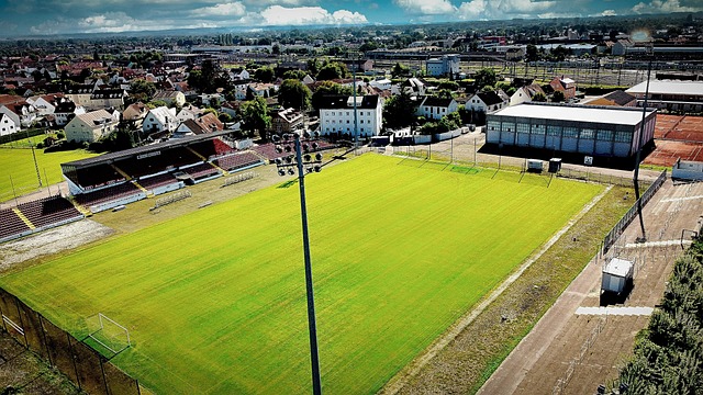 反思时期 反思时期