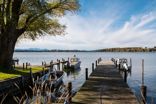 年的疫情让 年的疫情让