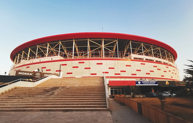 案例无不证 案例无不证