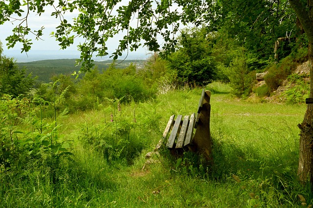 具备极高的 具备极高的