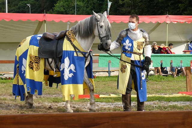 案例分析 案例分析