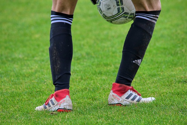 天津津门虎 天津津门虎