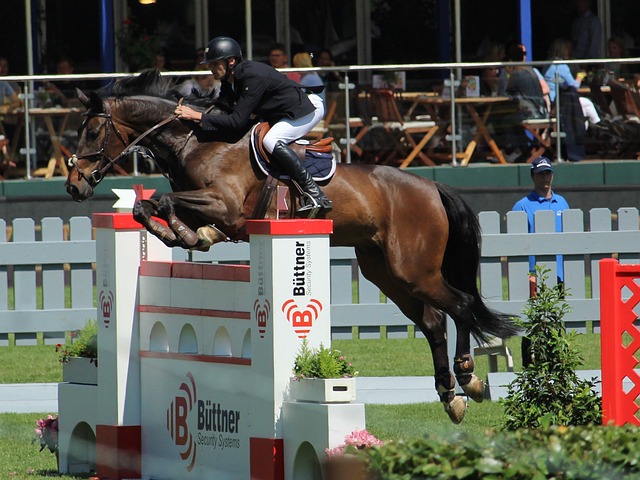 深刻理解 深刻理解